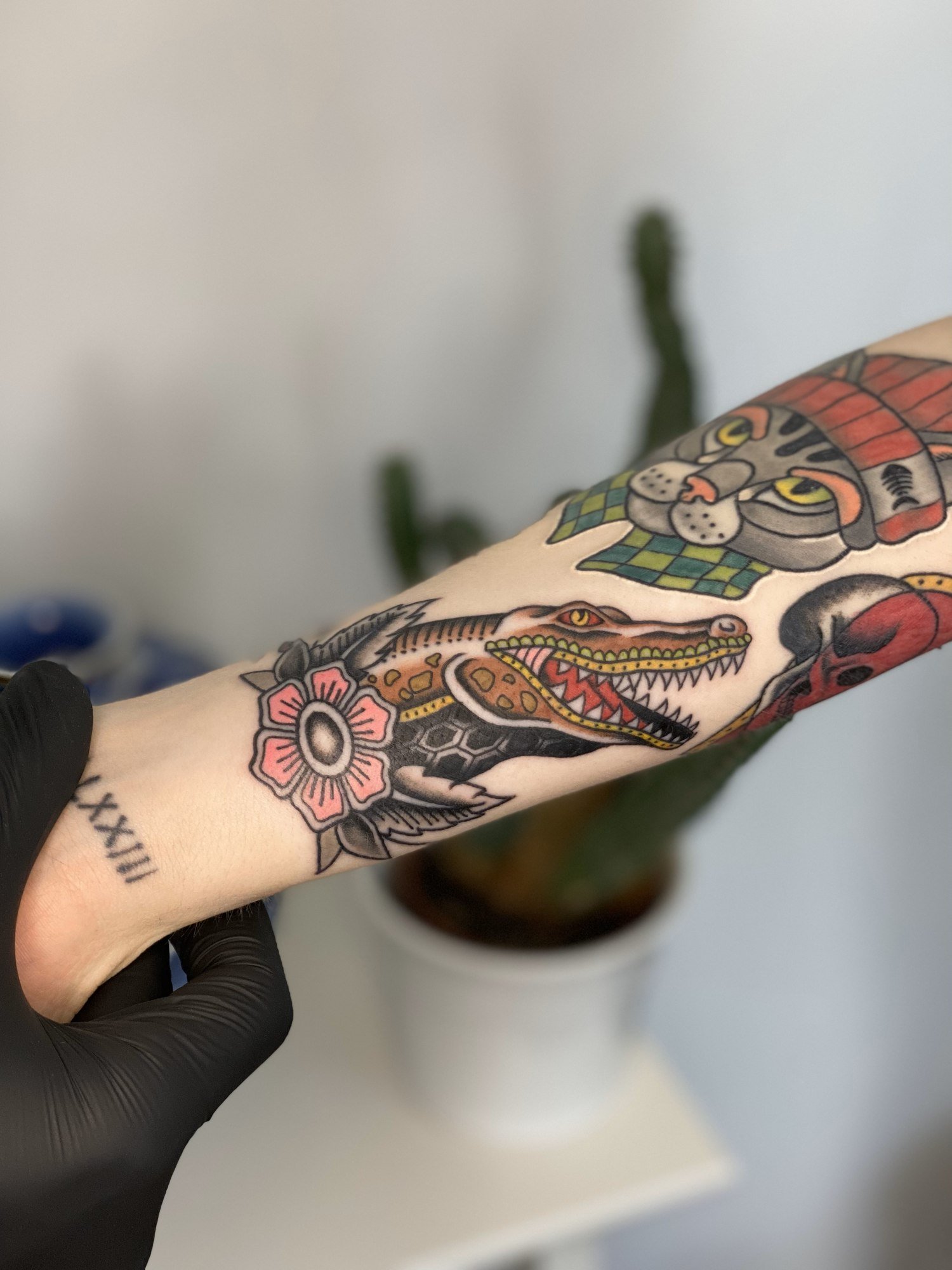 A colourful crocodile head with an open jaw beside a pink flower on the forearm. Tattoo by Edboi