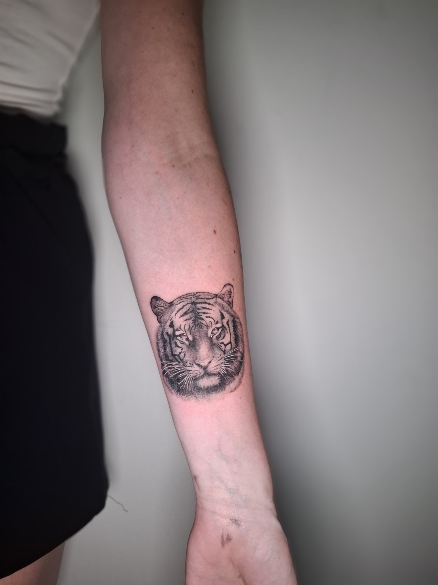 A front-facing tiger portrait with softly shaded fur and detailed whiskers on the forearm. Tattoo by Edboi