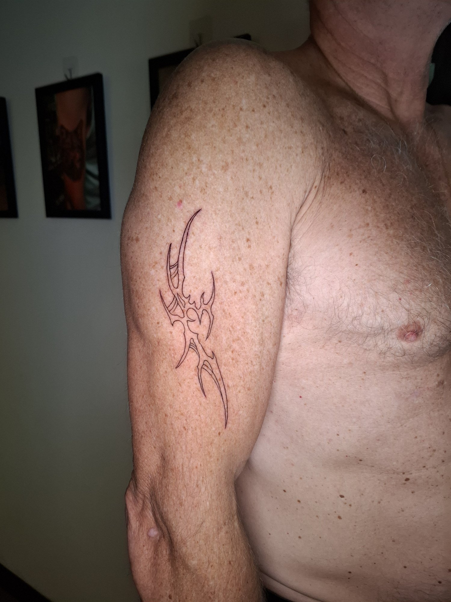 A vertical tribal design with sweeping pointed shapes and fine black outlines on the upper arm. Tattoo by Edboi